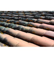 DIRECT MOUSS PRO anti-verdissement