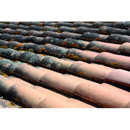 DIRECT MOUSS PRO anti-verdissement