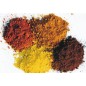 BATICOLOR colorant en poudre pour béton seau de 5 KG