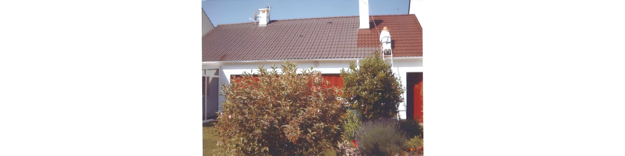 Peintures pour toitures