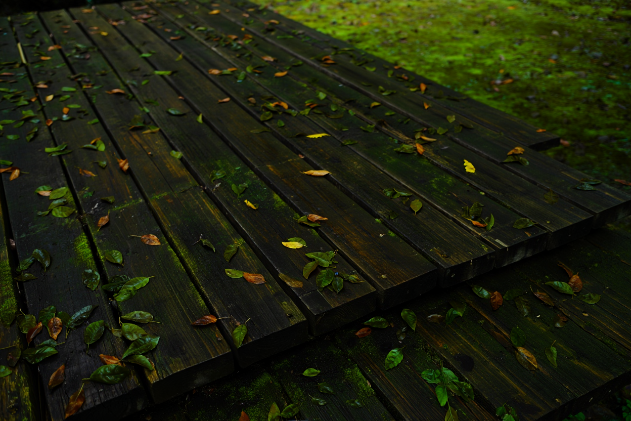 Comment nettoyer une terrasse en bois qui a noirci ?